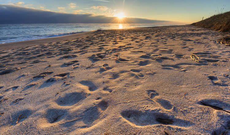 Cocoa Beach in Florida