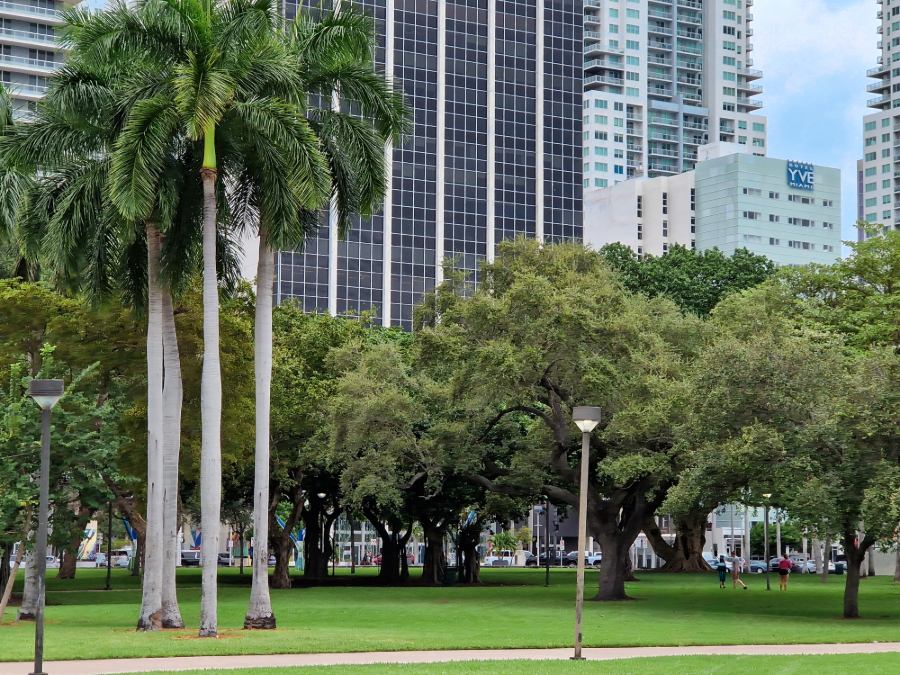 Downtown Miami hotels
