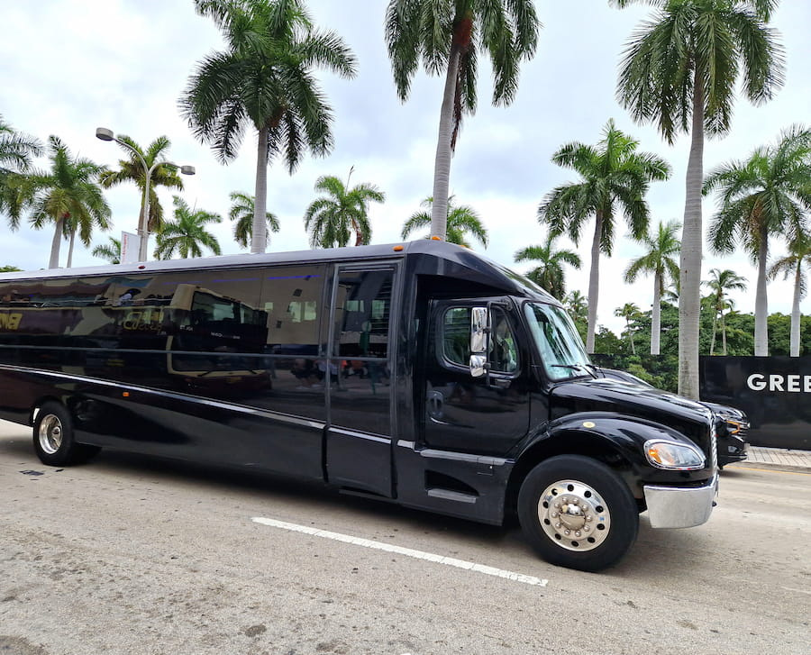 Shuttle service bus to the cruise port terminal