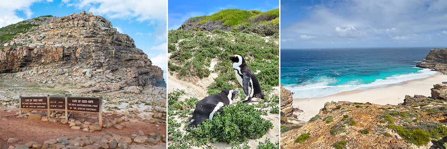 Cape of Good Hope, Boulder's Beach penguins in Cape Town (Peninsula)
