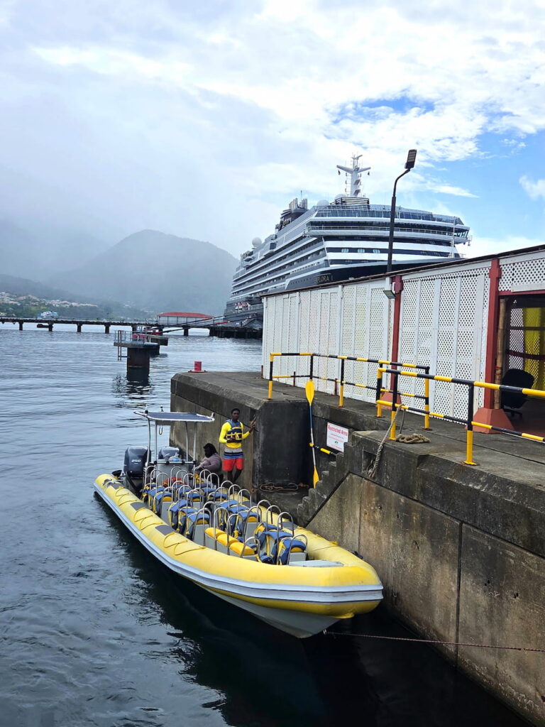 RIB boat for whale watching in Rosseau Dominica